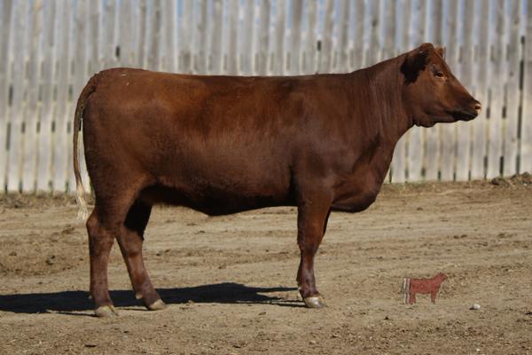 Lot 11A - SRR FLO-MARIE 01-811