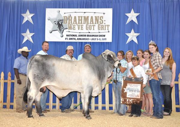 Sire of 2011 All American Calf Champion Bull        Mr. H Cinch Manso 175/0