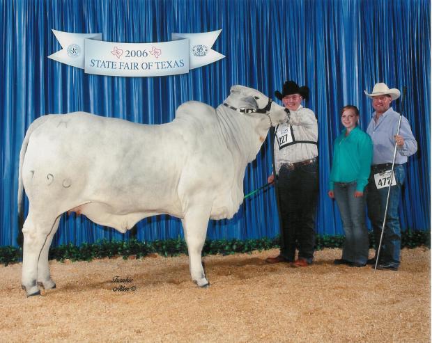 Dam of Lot 4 - + Lady H Alexi Manso 790