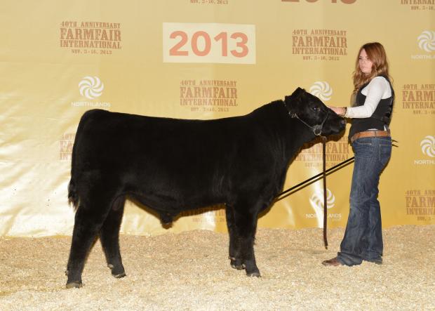 Canadian National Reserve Champion Spring Bull Calf