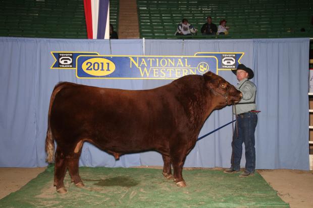 Sire of embryos - Red Wheel Alliance 22U