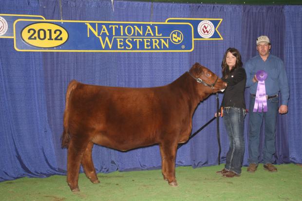 Paternal Sister - Heifer Calf Champion Denver 2012