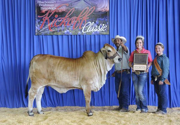 Daughter of 946/1 Calf Champ