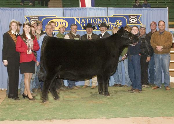 Full Sister to Lot 3 - NAILE Champion and Denver Reserve Champion