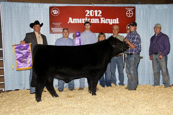 HSR Planned Masterpiece American Royal Grand Champion 