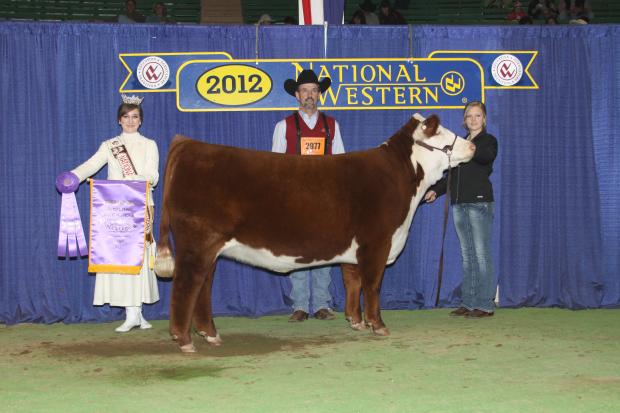 NWSS Champion Female - Outcross Daughter