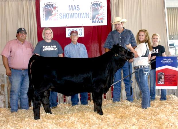 Lot 15's full sister -  LMC Daydream MAS VIII Grand Champion.