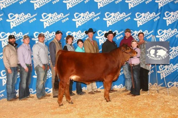 Hagen Ginger 50A - Daughter