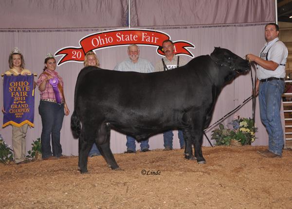 LMF Notorious 510 2011 Ohio State Fair Champion