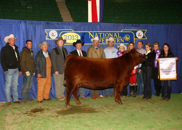 Paternal sister - US Reserve Champion Female Red Six Mile Lakoto 112Y