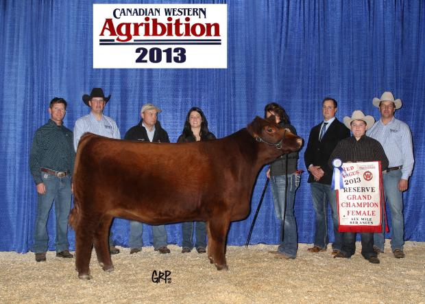 Indeed Daughter - Red Six Mile Siera 171Z - Res. Champ Female CWA 2013