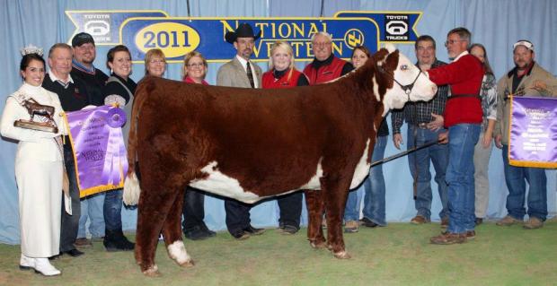 Mirror Image- NWSS Champion