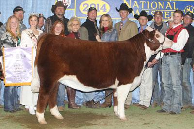 Strawberry Wine - NWSS Reserve Champion