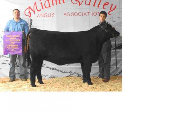 Universe Maid 506, dam of lot 21, pictured as the Grand Champion Bred & Owned female of the 2007 Miami Valley Angus Show