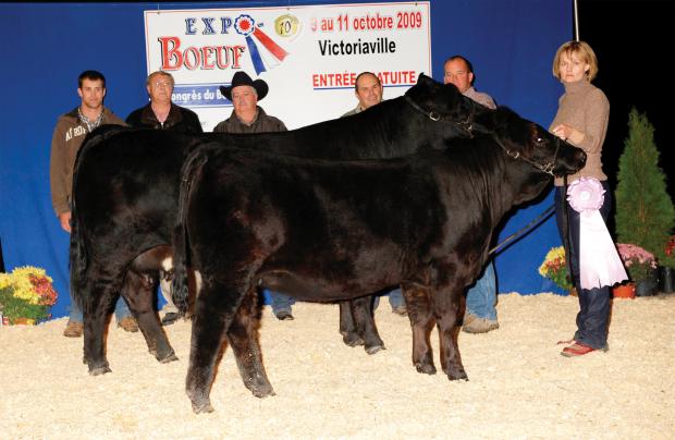 Dam & Maternal Sister: Xcel Black Candy 401S & KitKat