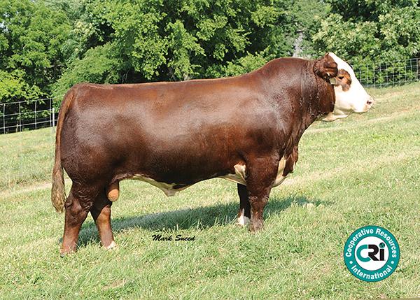 Boyd Masterpiece 0220 - Sire