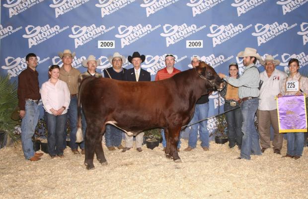 LMC HS Rocco - maternal grand sire & many times champion