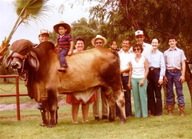 659 son with Carlitos, Jaime, Margaret Watkins, Dad, Westfalls and Swaynes