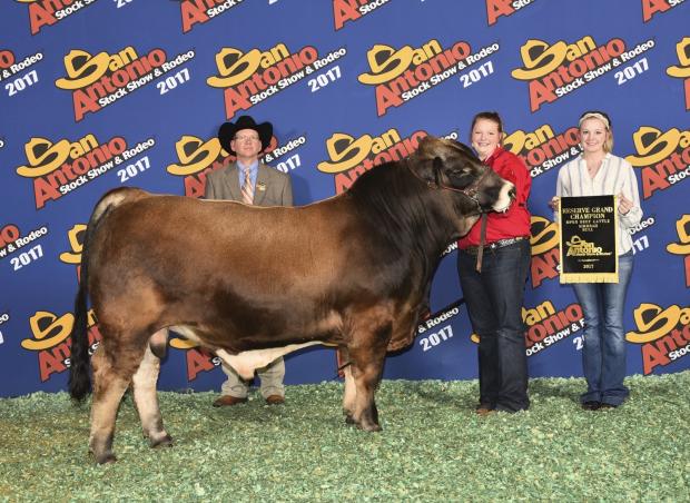 Triple Crown Grand or Reserve Bull bought from 6G last year by Mullins Family