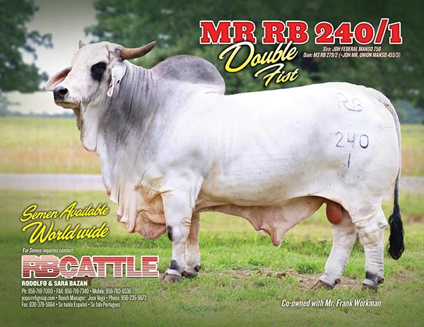 Sire  - Mr. RB 240/1 “Double Fist