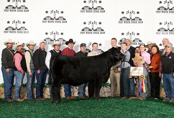 Maternal Grand Dam - LMC WFC Ms. Dream Girl - 2009 & 2010 National Champion and 2009 International Champion