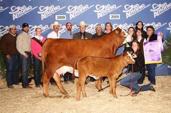 Paternal Grand Dam - BBS Jennie Walker - 2009 Grand Champion @ San Antonio Jr. and the dam to the 2016 and 2018 Grand Champion