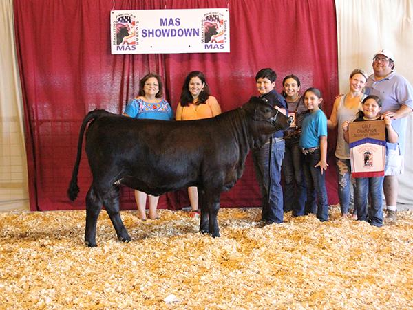 Daughter - LMC Jayda - 2018 Calf Champion @ MAS Showdown