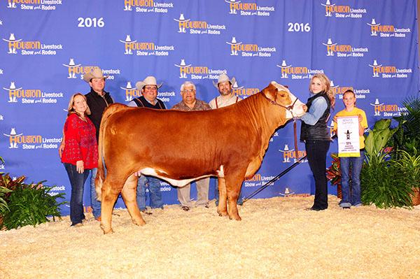 Daughter - LMC BBS Andrea - LMC GenePLUS High Seller and Dam to LMC Honey Bun the Reserve Champion American Heifer at 2018 TAMU 