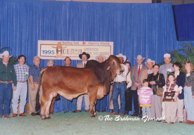 1995 International Grand Champion