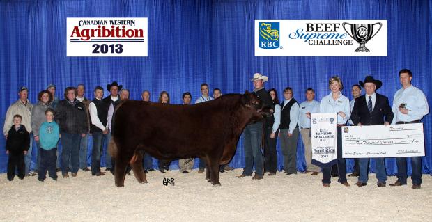 Sire of Embryos - Red Wilbar Longitude 646Y