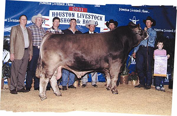 Maternal grand sire - WTR Hipcheck