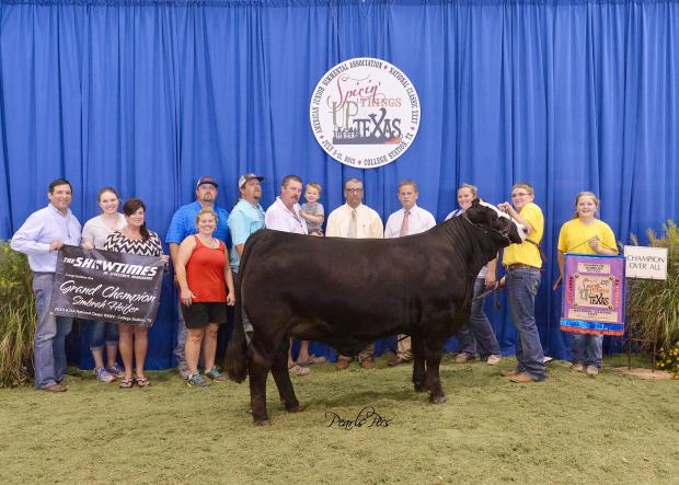 2016 Champion $10,000 Jr. San Antonio Show shown by Caleb Fuchs