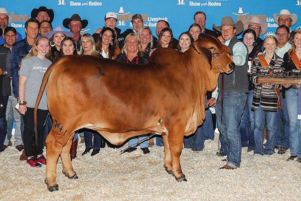 Daughter: 2020 Reserve International Champion