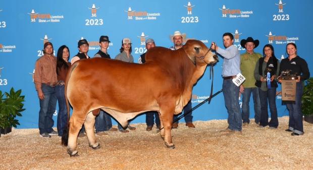 Many time show winning HOMOZYGOUS son