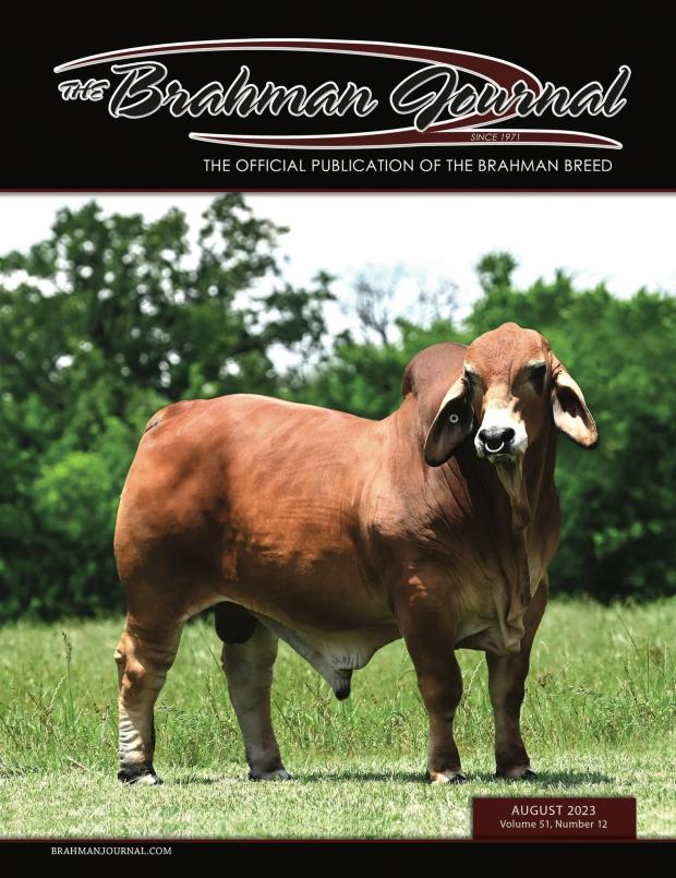 Foundation on the cover of the Brahman Journal