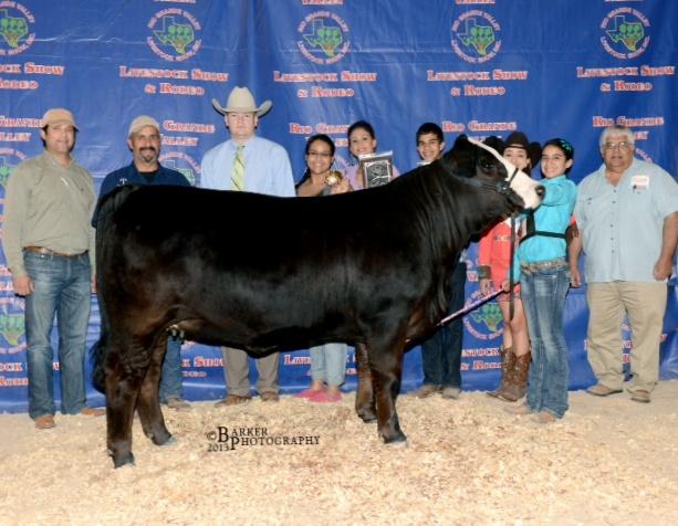 Uno's Pretty Neat - Champion daughter and MAS Sale Topper