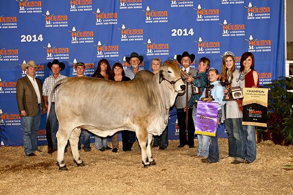 Maternal Sister:MISS SG KITTY 168/2 - 2014 Houston and San Antonio Junior Show Grand Champion