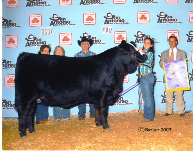 A&A Butterfly, winning the San Antonio Jr. Show and $10,000 scholarship, sired by A&A Black Scepter