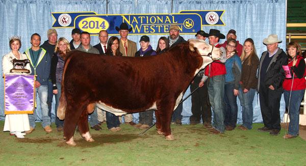 C MILES McKEE 2103 ET - Sire