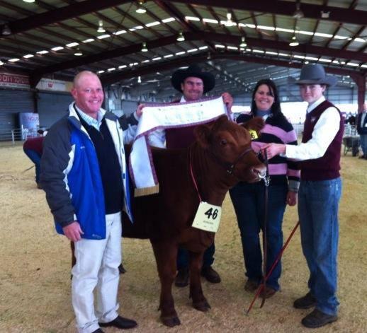 Daughter: Heartland Fat Una, 2014 Australian National Champion Female