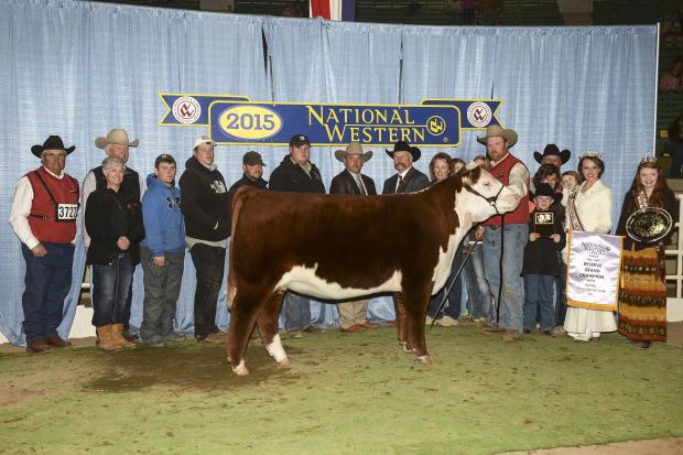 churchill Lady 3290B ET   Maternal sister was Denver Reserve Champ