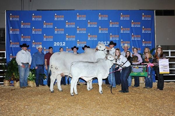 Paternal Half Sibling - National and Reserve International Champion - Lady H Mae Manso 66/9