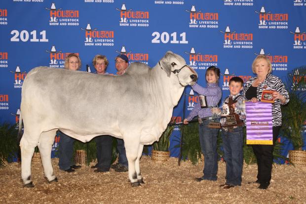 Miss CBR, dam of “Coco Chanel” and a past winner for the Herzog family. 