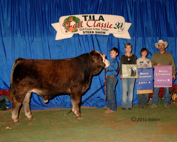 Lot 12 champion son out of Braunvieh cow