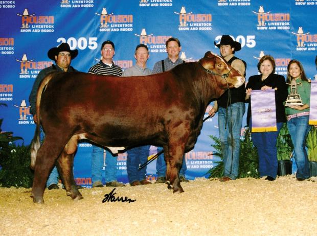 LMC RFI SMith Red Bullet -2005 Houston Champ sired by HR Powerhouse