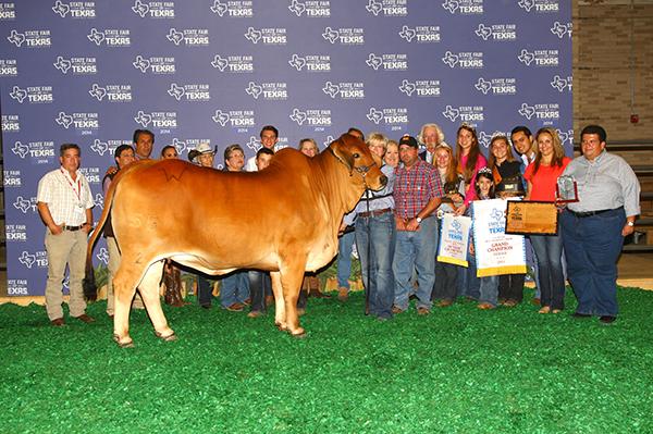 > 2014 National Champion Female and daughter of +TTT 335