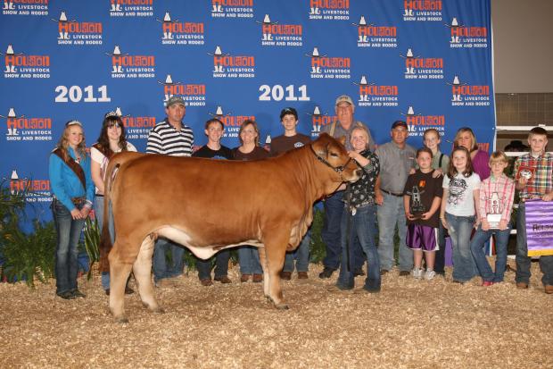 Lot 20 Daughter - LMC TLZ Loretta - 2011 Reserve Champion @ Houston Jr. for Alicia Grahmann