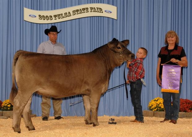 Show heifer of the year by Polled LIghtning