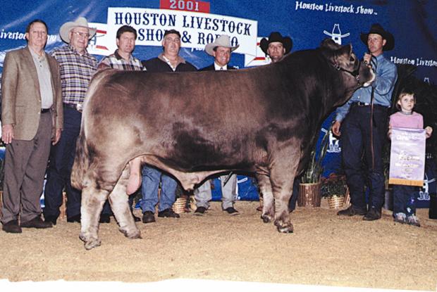 Lot 23's maternal grand sire - WTR Hipcheck