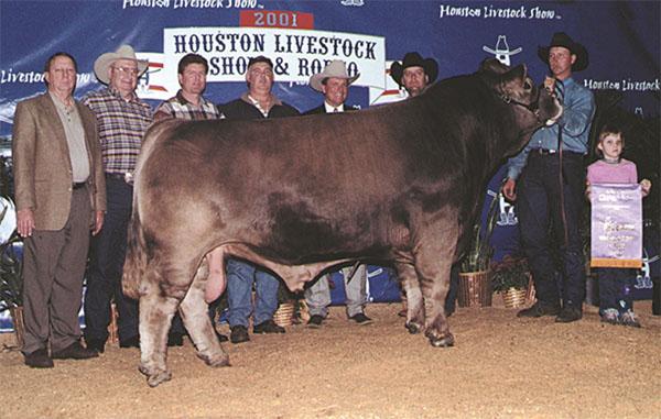 Maternal great grand sire - WTR Hipcheck